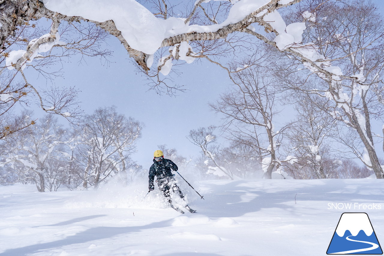 ニセコ東急グラン・ヒラフ｜積雪400cm！ニセコの『PowderSnow』を味わい尽くす、贅沢な時間♪